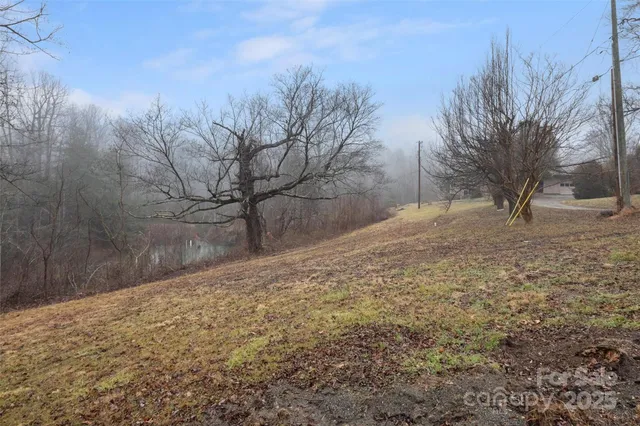 a view of dirt yard with a large tree