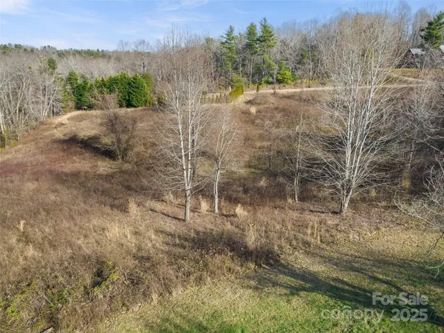 a view of a yard with an outdoor space