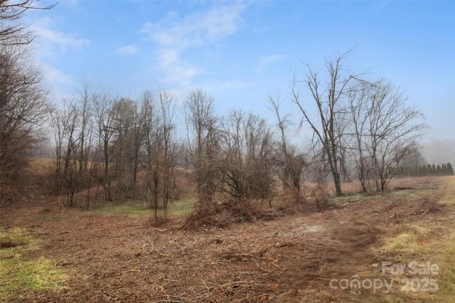 a view of backyard with green space