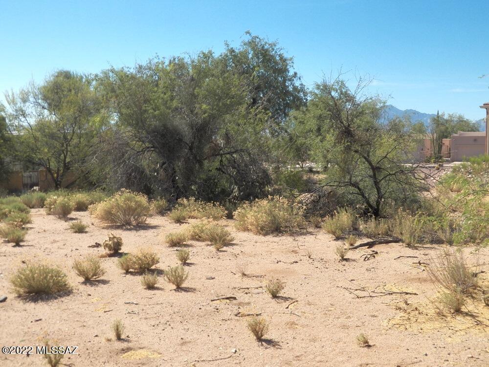 Via Santa Rosa Green Valley, Unit 25 Green Valley, AZ 85614 - Photo 3 of 9