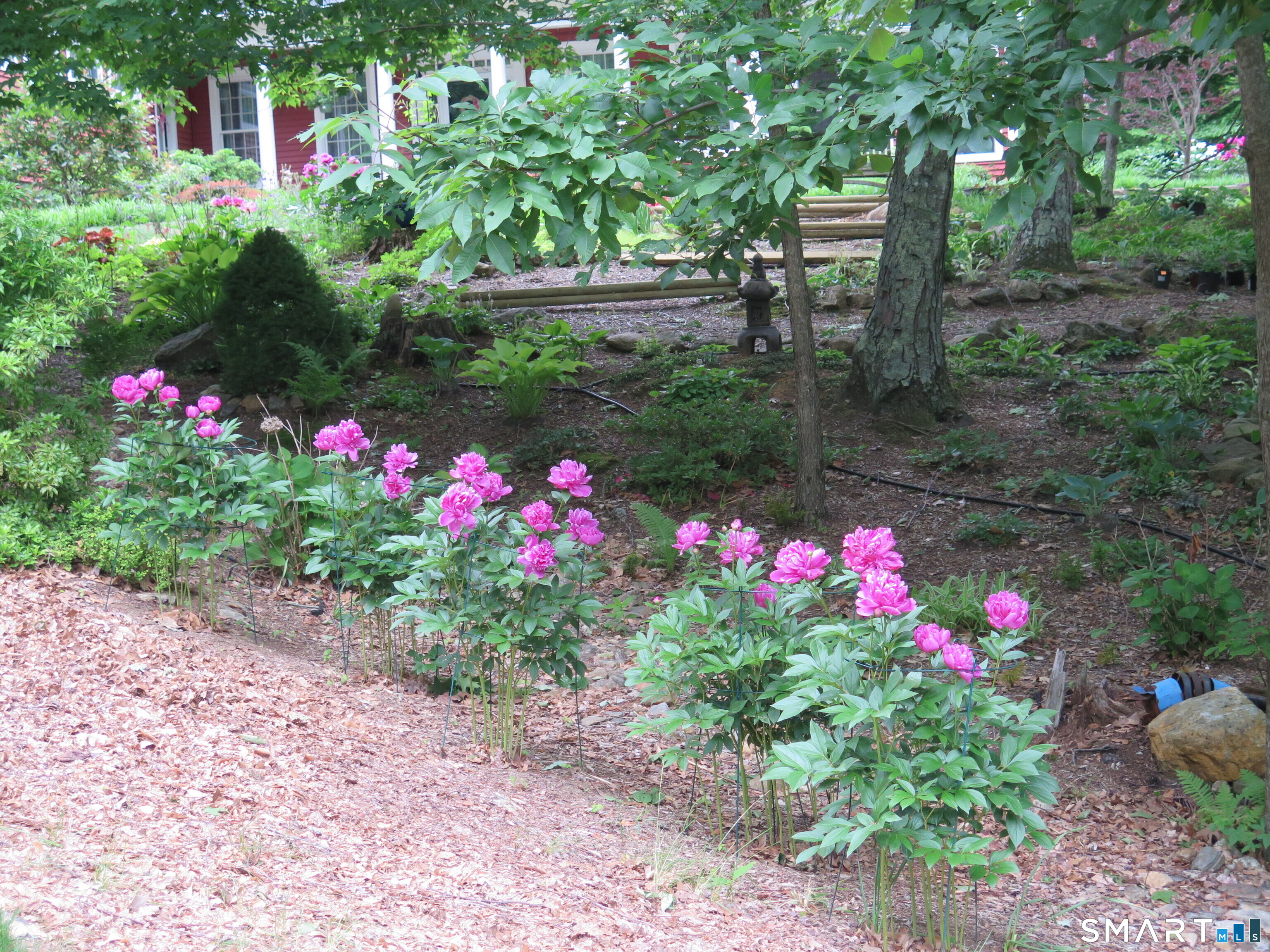 64 Summerwood Ridge Tolland, CT 06084 - Photo 37 of 40