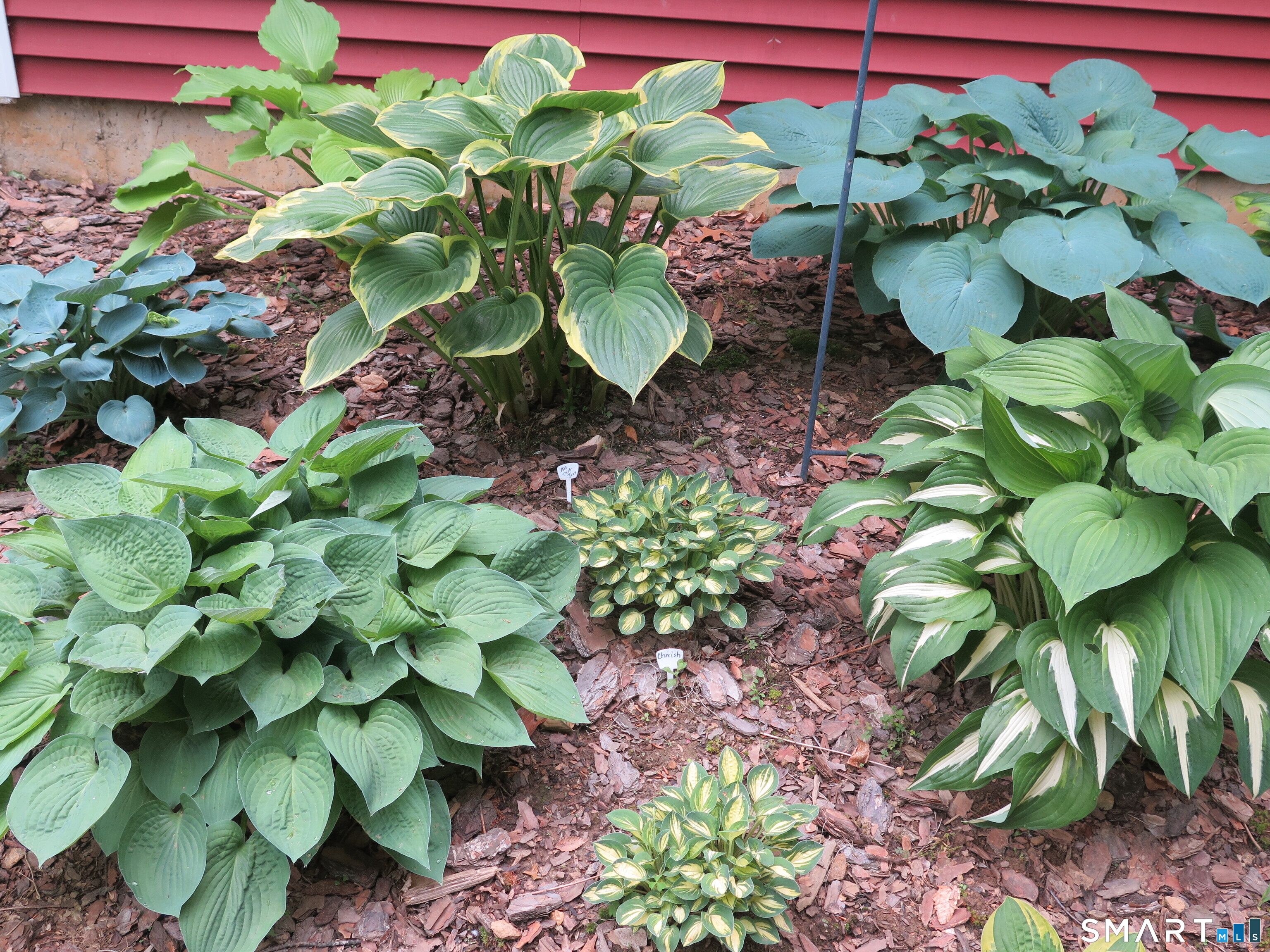 64 Summerwood Ridge Tolland, CT 06084 - Photo 6 of 40