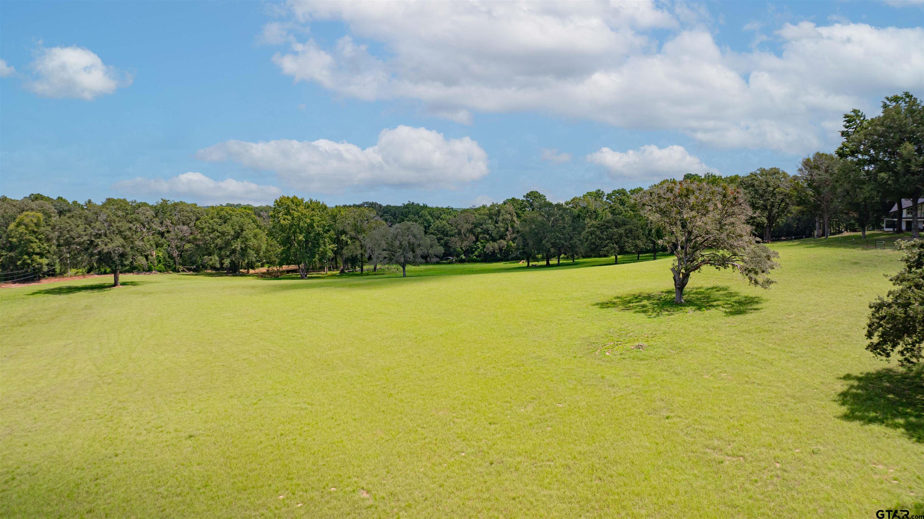 15698 North Peninsula Road Whitehouse, TX 75791 - Photo 37 of 44