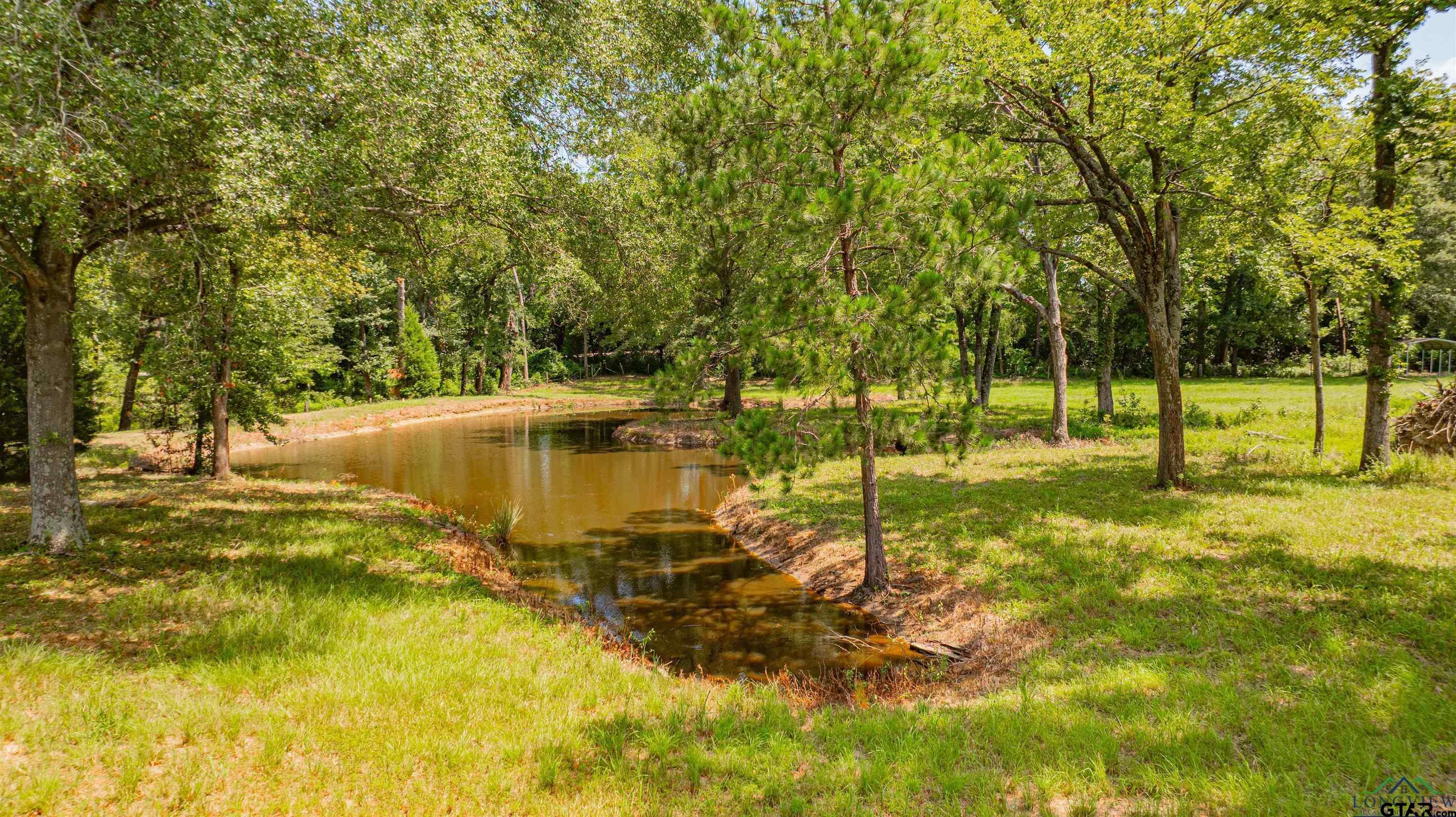 15698 North Peninsula Road Whitehouse, TX 75791 - Photo 43 of 44