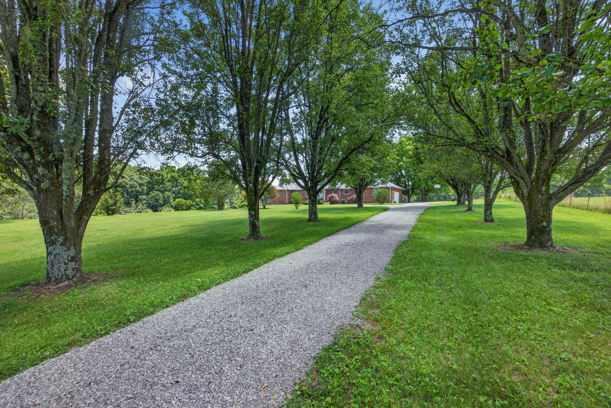 4160 Standing Rock Road Jamestown, TN 38556 - Photo 4 of 57