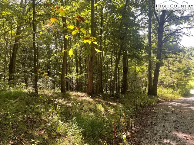 $169,900 | Highlands Trail, Grassy Creek, NC 28631