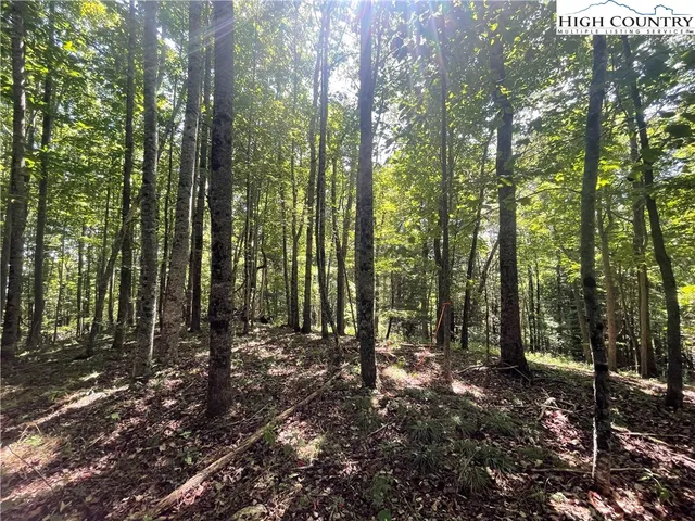 $169,900 | Highlands Trail, Grassy Creek, NC 28631