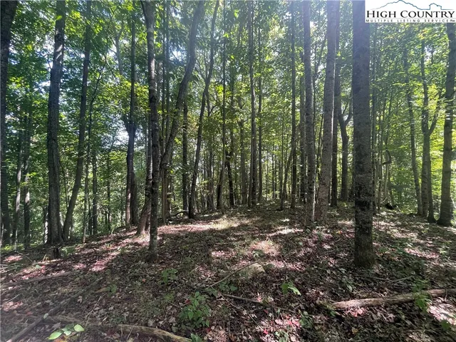 $169,900 | Highlands Trail, Grassy Creek, NC 28631