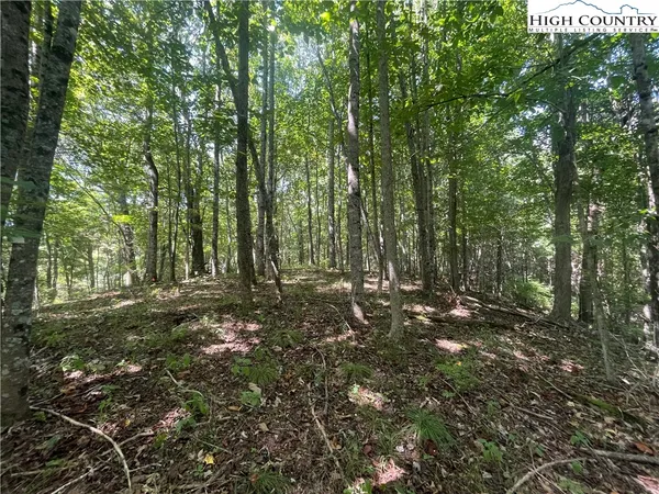 $139,900 | Highlands Trail, Grassy Creek, NC 28631