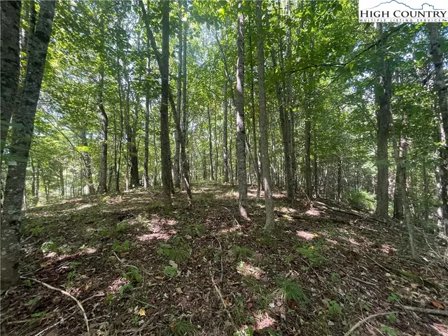 $169,900 | Highlands Trail, Grassy Creek, NC 28631