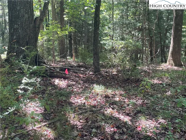 $169,900 | Highlands Trail, Grassy Creek, NC 28631