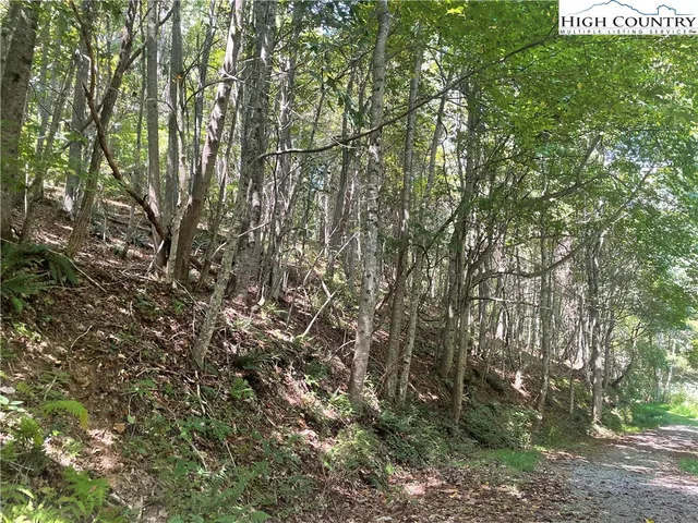 $169,900 | Highlands Trail, Grassy Creek, NC 28631