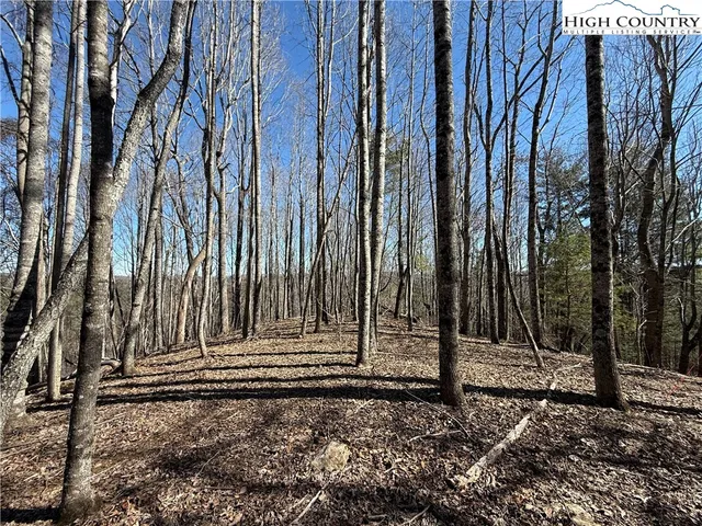 $169,900 | Highlands Trail, Grassy Creek, NC 28631