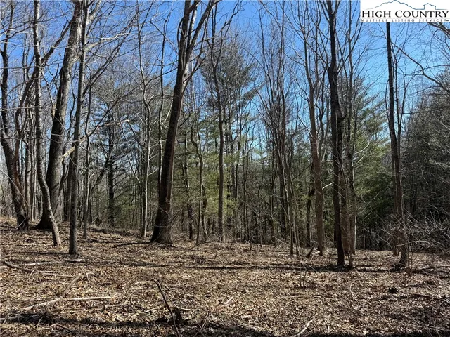 $169,900 | Highlands Trail, Grassy Creek, NC 28631