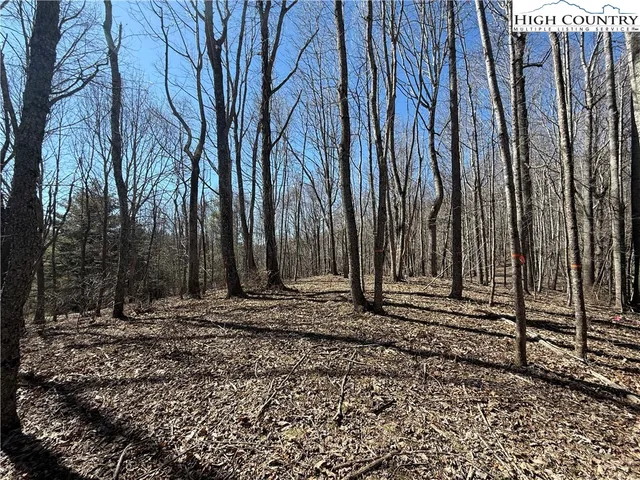 $169,900 | Highlands Trail, Grassy Creek, NC 28631