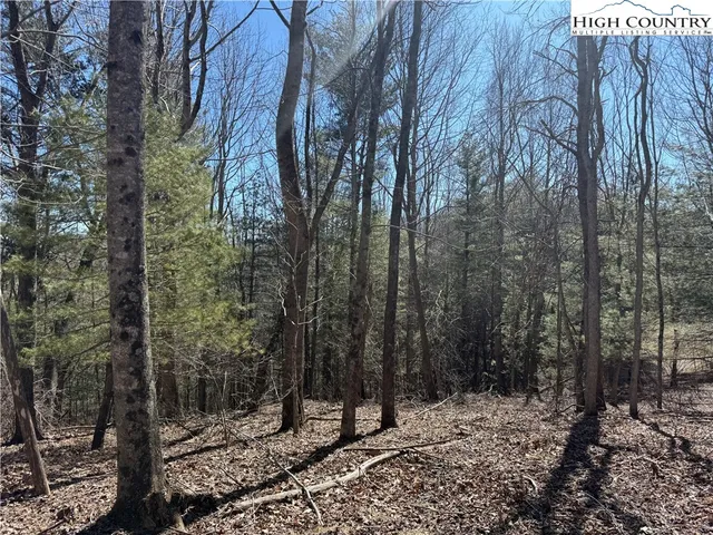 $169,900 | Highlands Trail, Grassy Creek, NC 28631