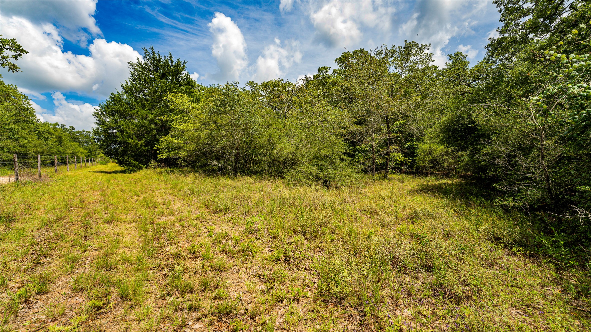 1470 22 Hills Road Gause, TX 77857 - Photo 34 of 35 A tranquil, verdant lot awaits your vision, bordered by a rustic fence and mature trees.