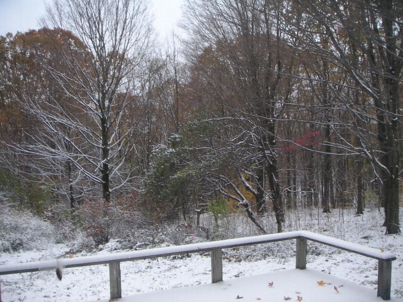 88 Webster Road Tyringham, MA 01264 - Photo 8 of 10 a view of a yard in a yard