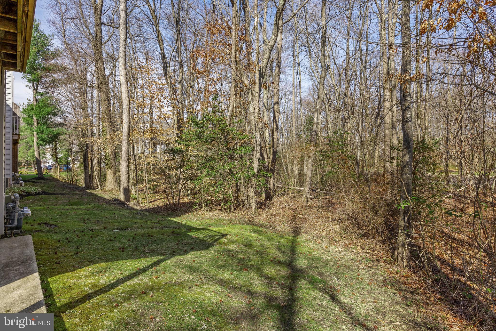 203 Quail Road Marlton, NJ 08053 - Photo 21 of 27 a view of a yard with flower plants