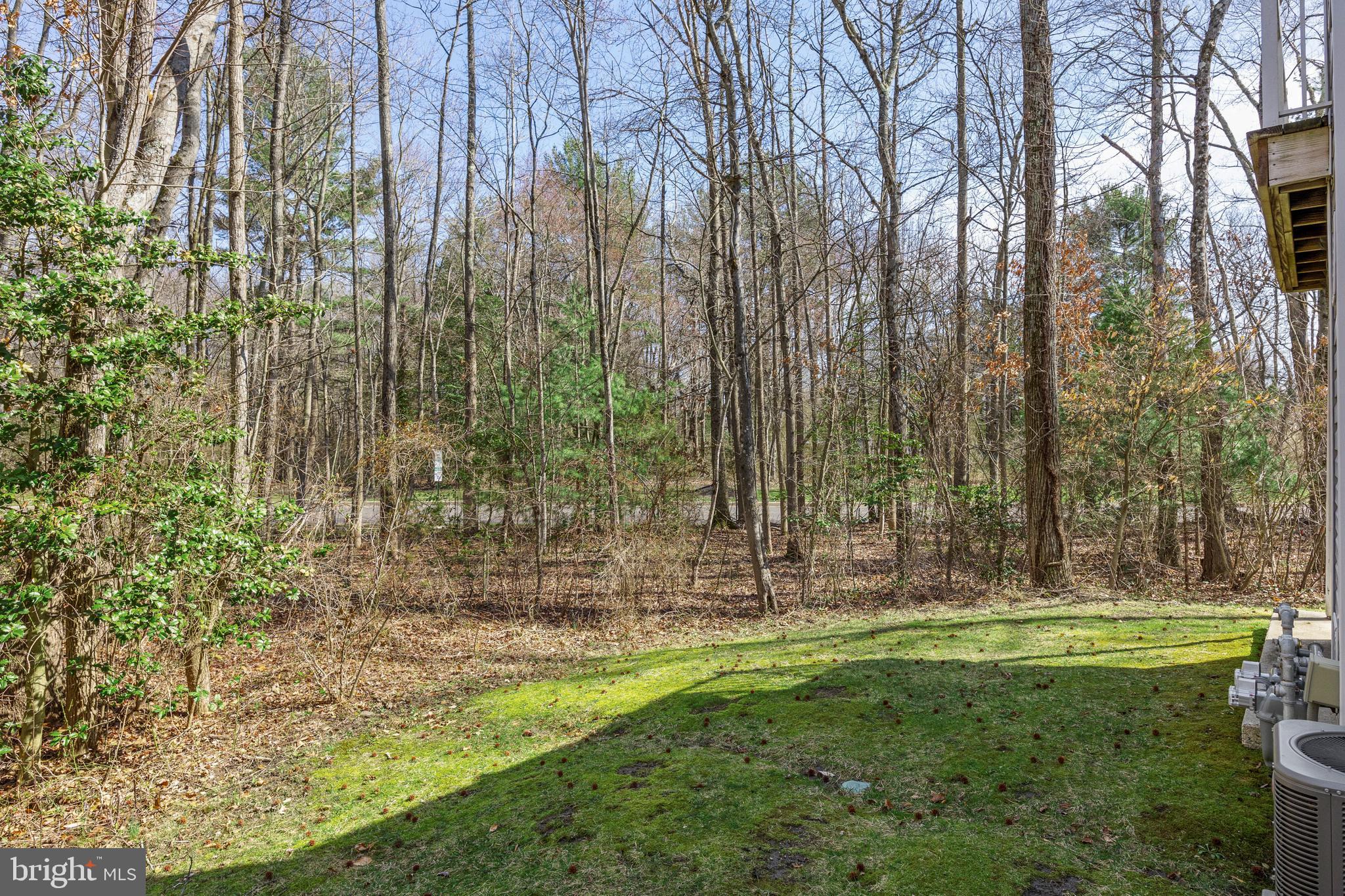 203 Quail Road Marlton, NJ 08053 - Photo 22 of 27 a view of outdoor space with garden and trees