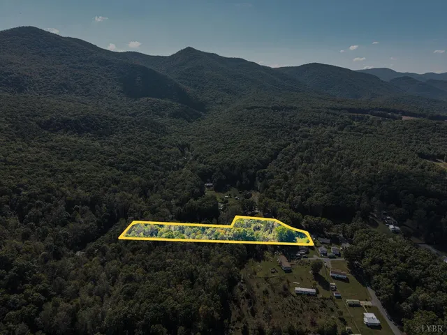 a view of road and trees