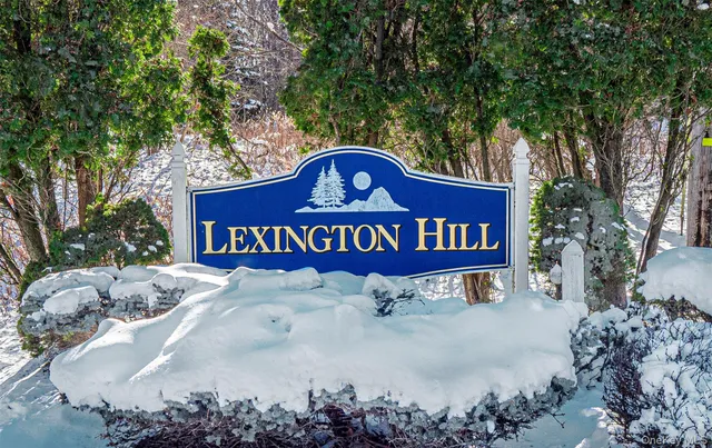 $255,000 | 20 Lexington Hills Road, Unit 2, Harriman, NY 10926