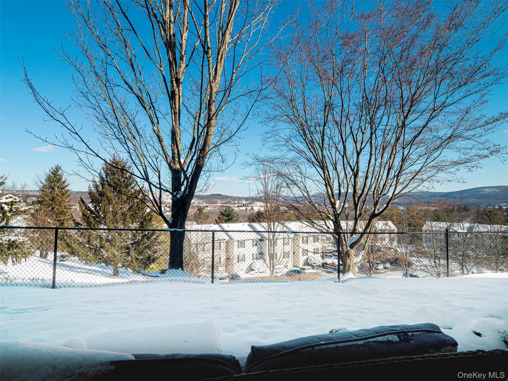 20 Lexington Hills Road, Unit 2 Harriman, NY 10926 - Photo 22 of 22 your view from the unit