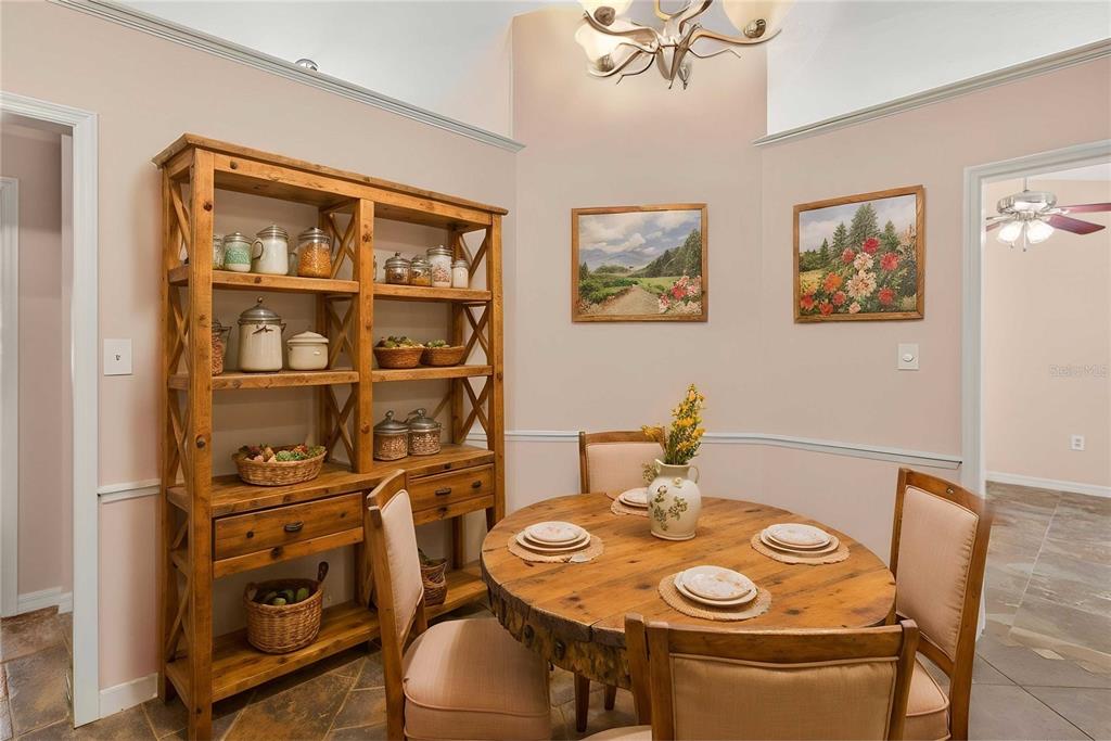 207 Pinecrest Road Mount Dora, FL 32757 - Photo 19 of 40