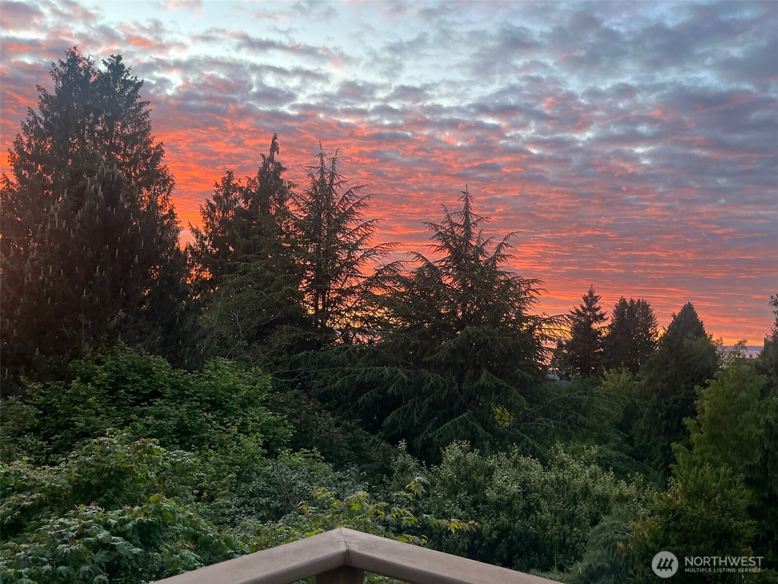 1910 Northwest 97th Street Seattle, WA 98117 - Photo 38 of 40