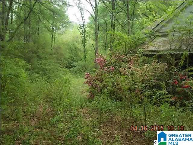 5450 Rosemary Road Mount Olive, AL 35117 - Photo 4 of 4