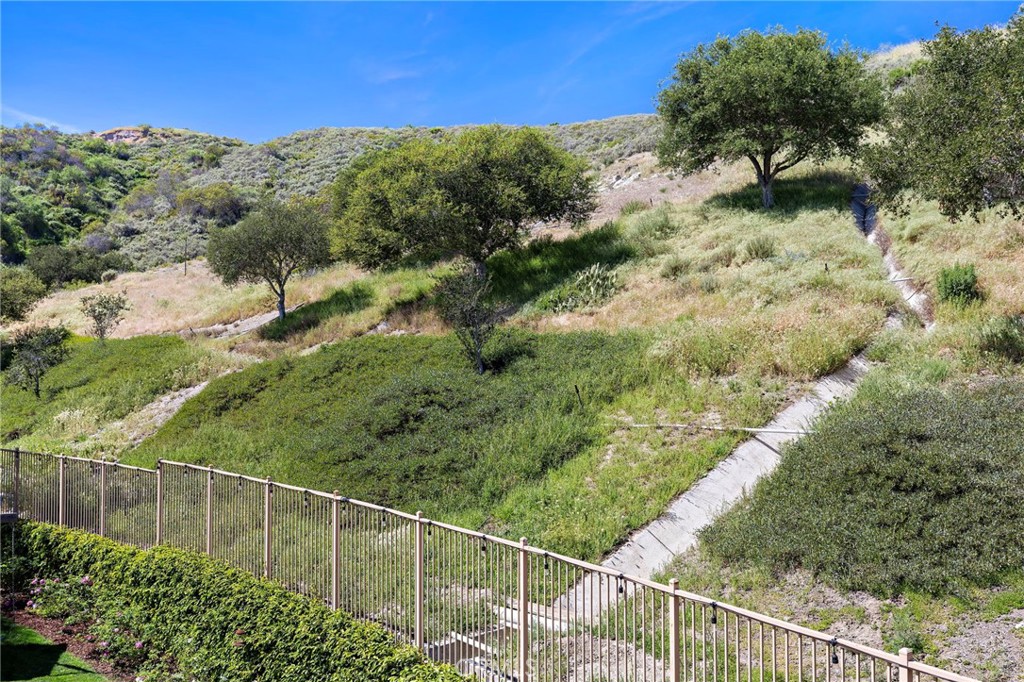 21 Snow Bush Street Ladera Ranch, CA 92694 - Photo 47 of 73 a view of a forest with a street