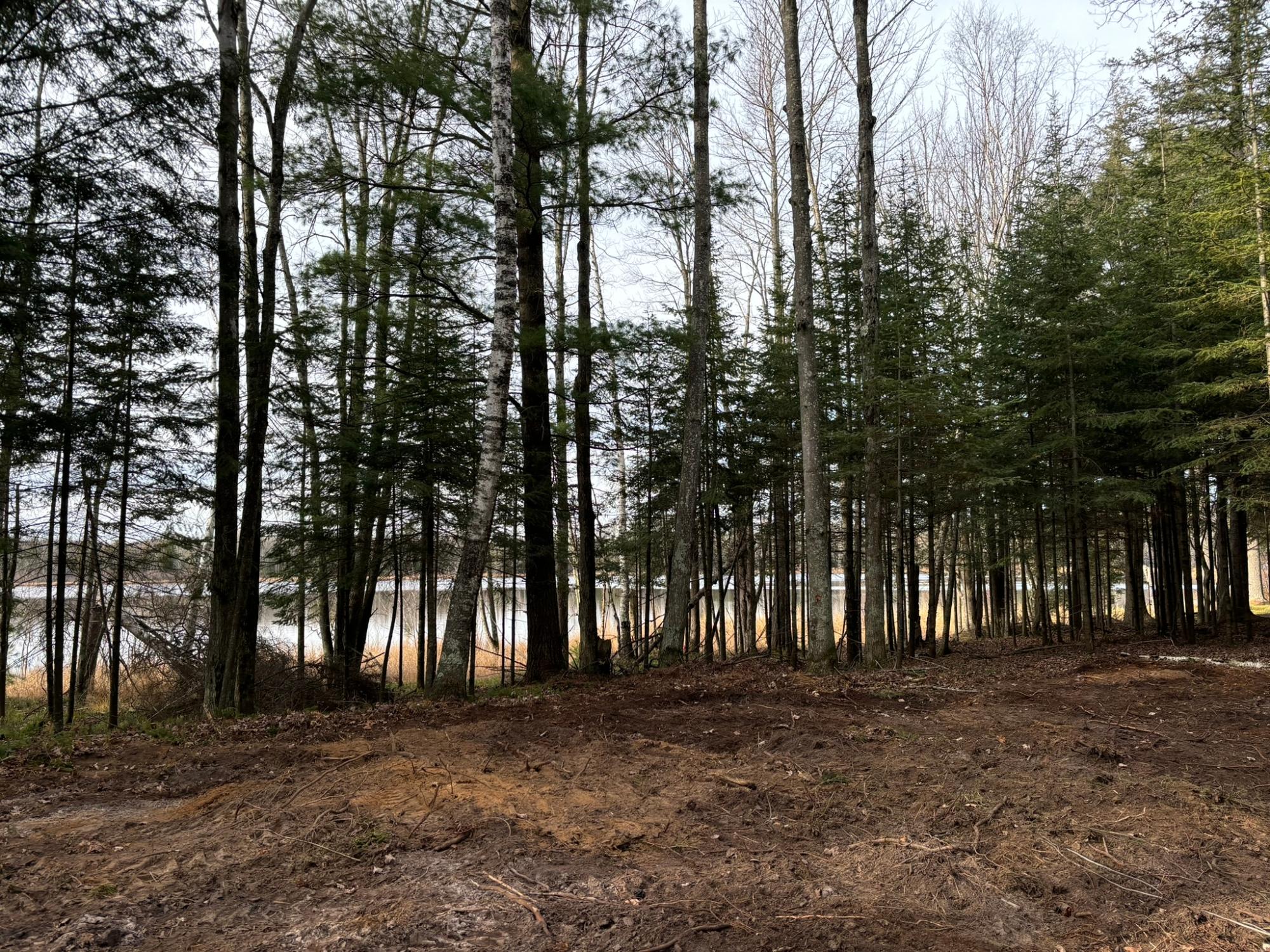 Lot 3 Columbus Lake Road Eagle River, WI 54521 - Photo 15 of 22 Gallery Image 15
