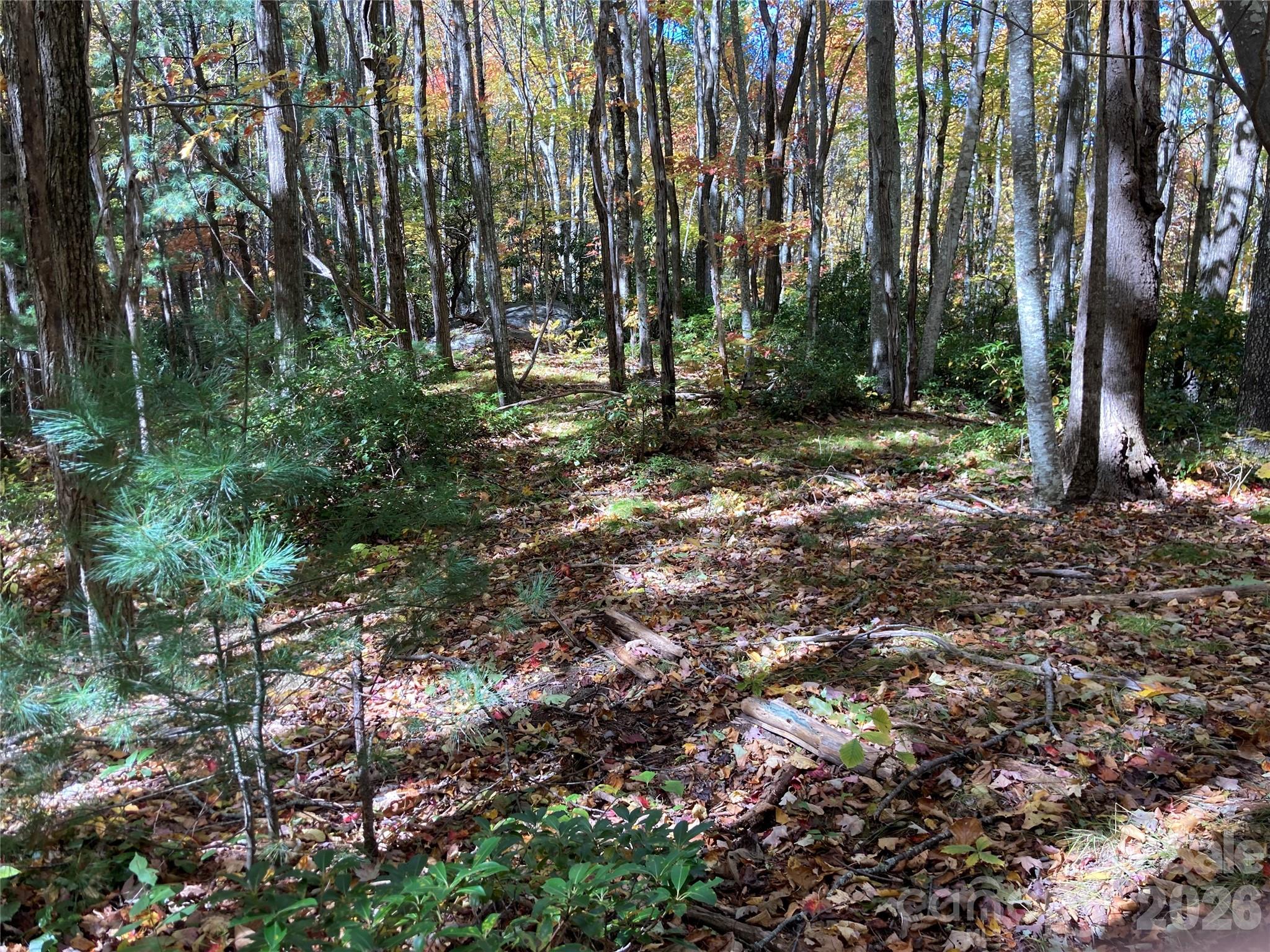 8 Carls Cove Road Hendersonville, NC 28792 - Photo 5 of 25