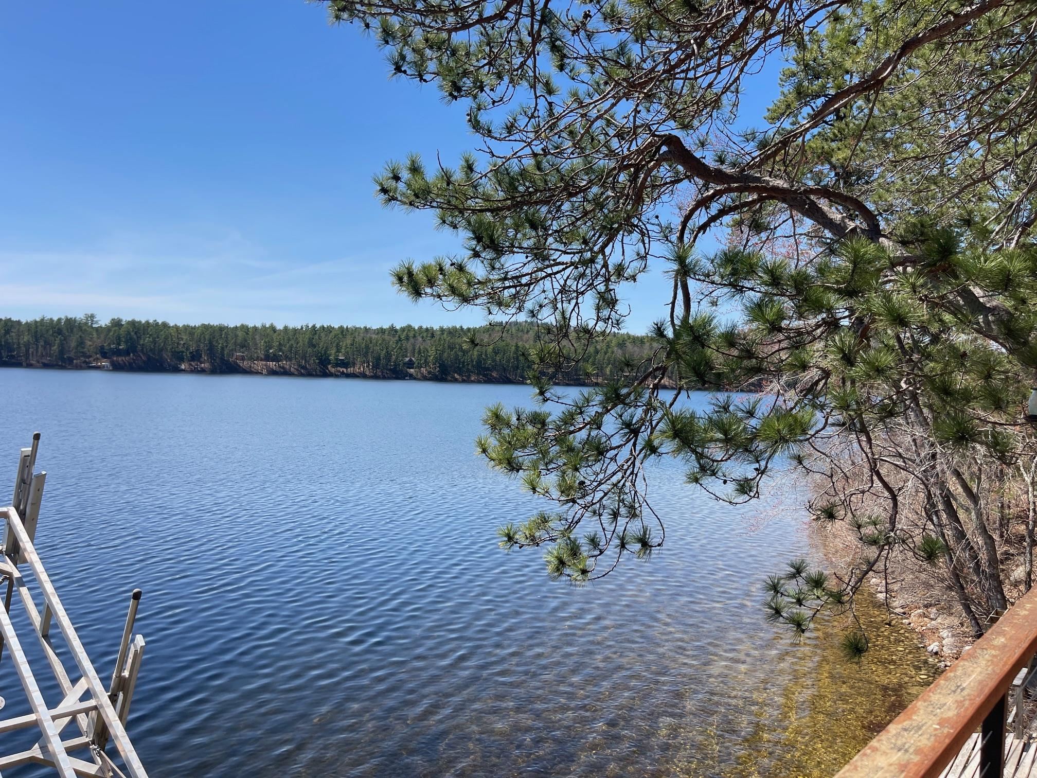 229 Charlotte Point Road Madison, NH 03849 - Photo 6 of 28