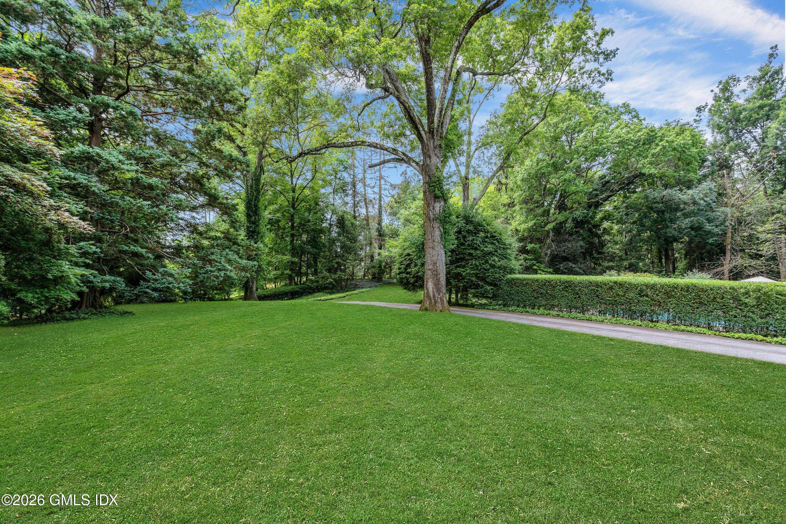 11 Alden Road Greenwich, CT 06831 - Photo 32 of 36 032-484375-_X0A4823_14217451