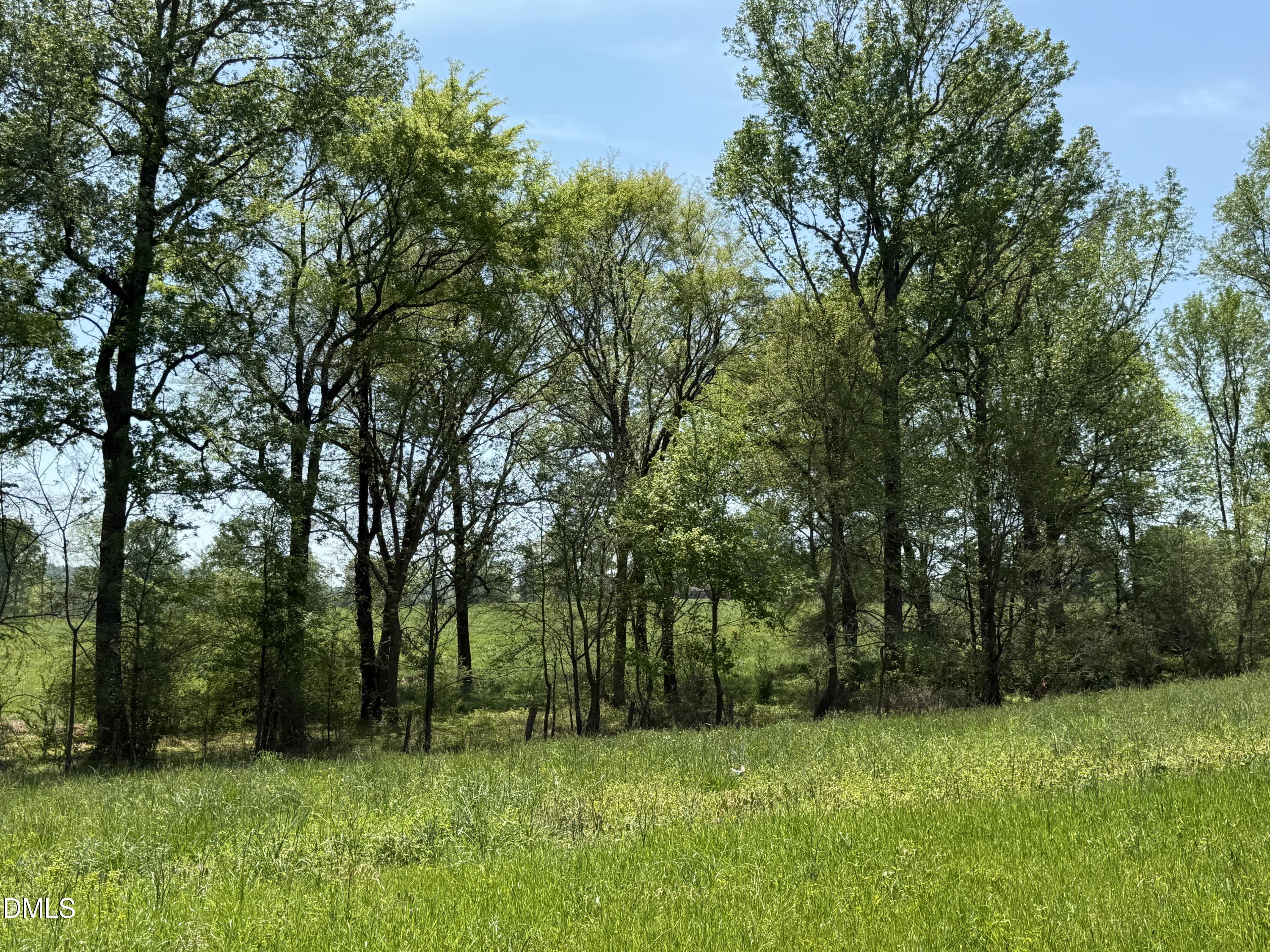 5545 Silk Hope Gum Spring Road Siler City, NC 27344 - Photo 24 of 26 acreage