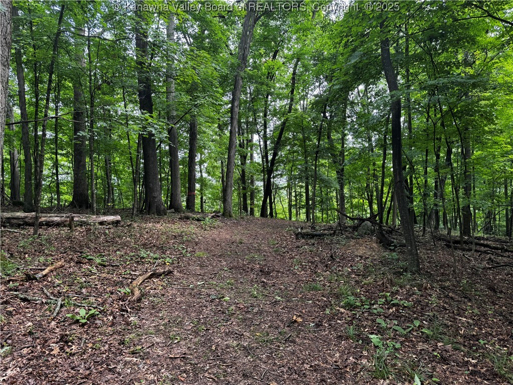 39 Fox Chase Road Alum Creek, WV 25003 - Photo 18 of 24 Gallery Image 18