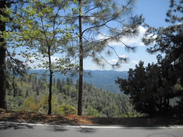 a view of a pathway in a yard