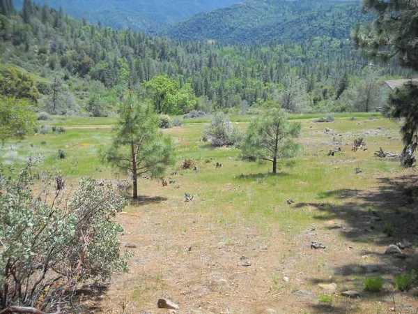 a view of a road with a yard