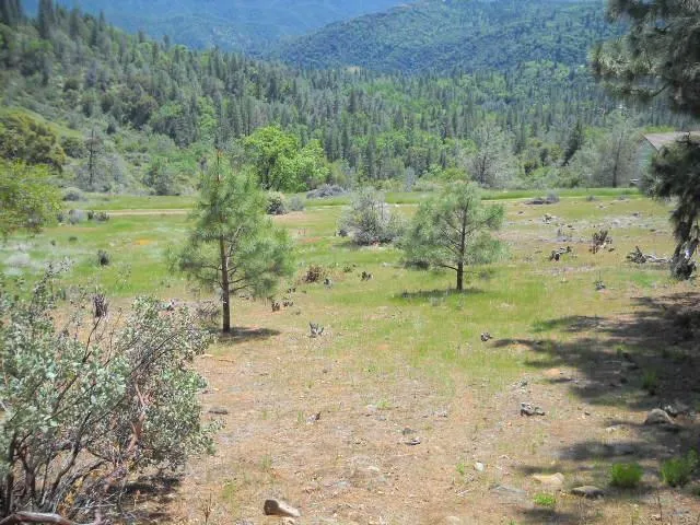 a view of a road with a yard