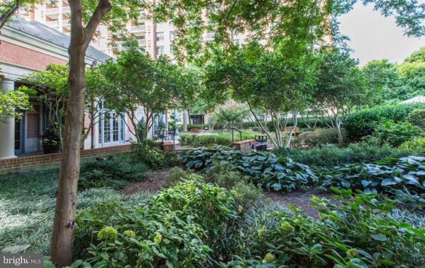11710 Old Georgetown Road, Unit 422 North Bethesda, MD 20852 - Photo 27 of 29 a view of a garden