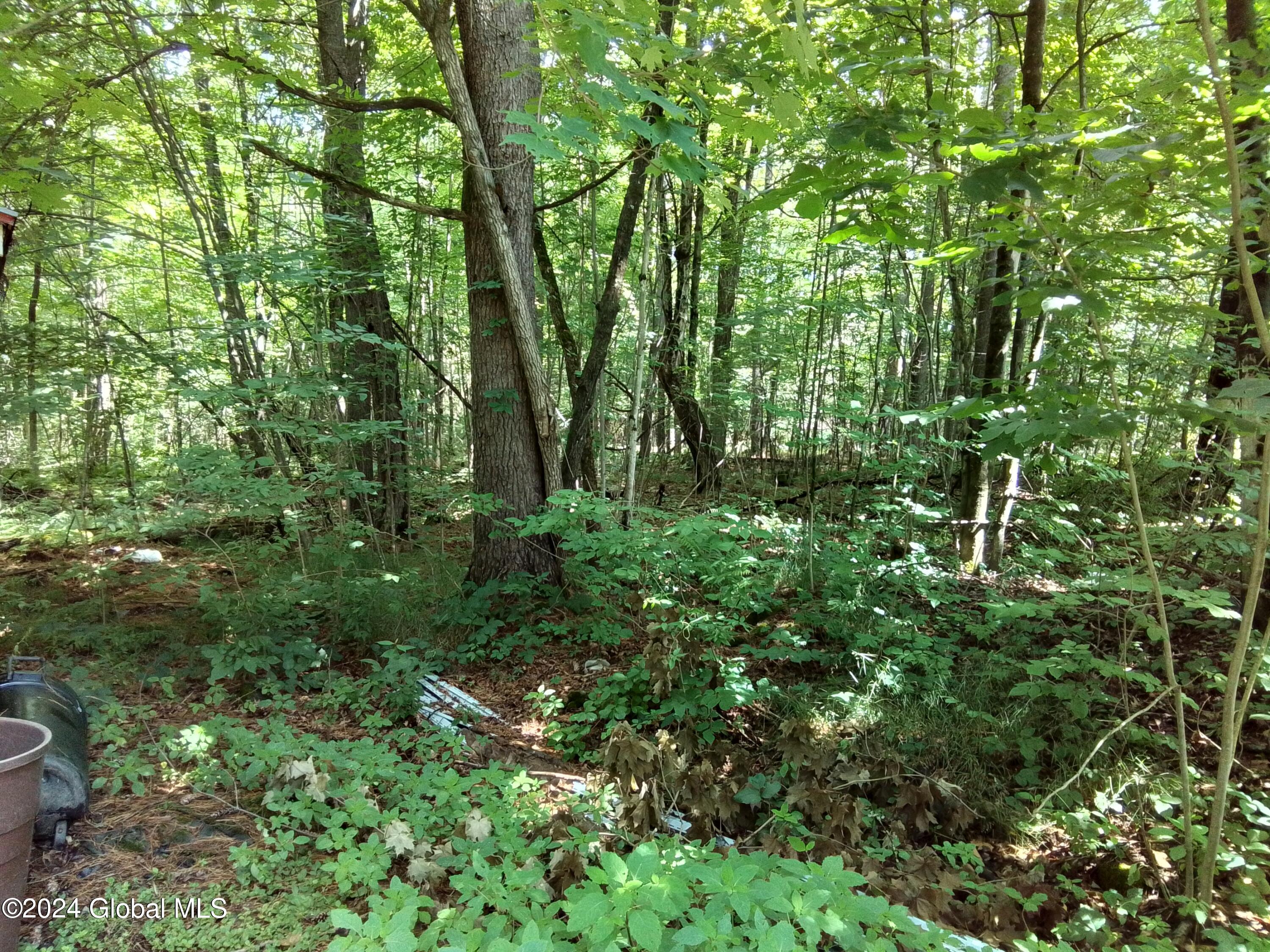 5 Marcelle Lane Lake George, NY 12845 - Photo 12 of 46 20240711_113748