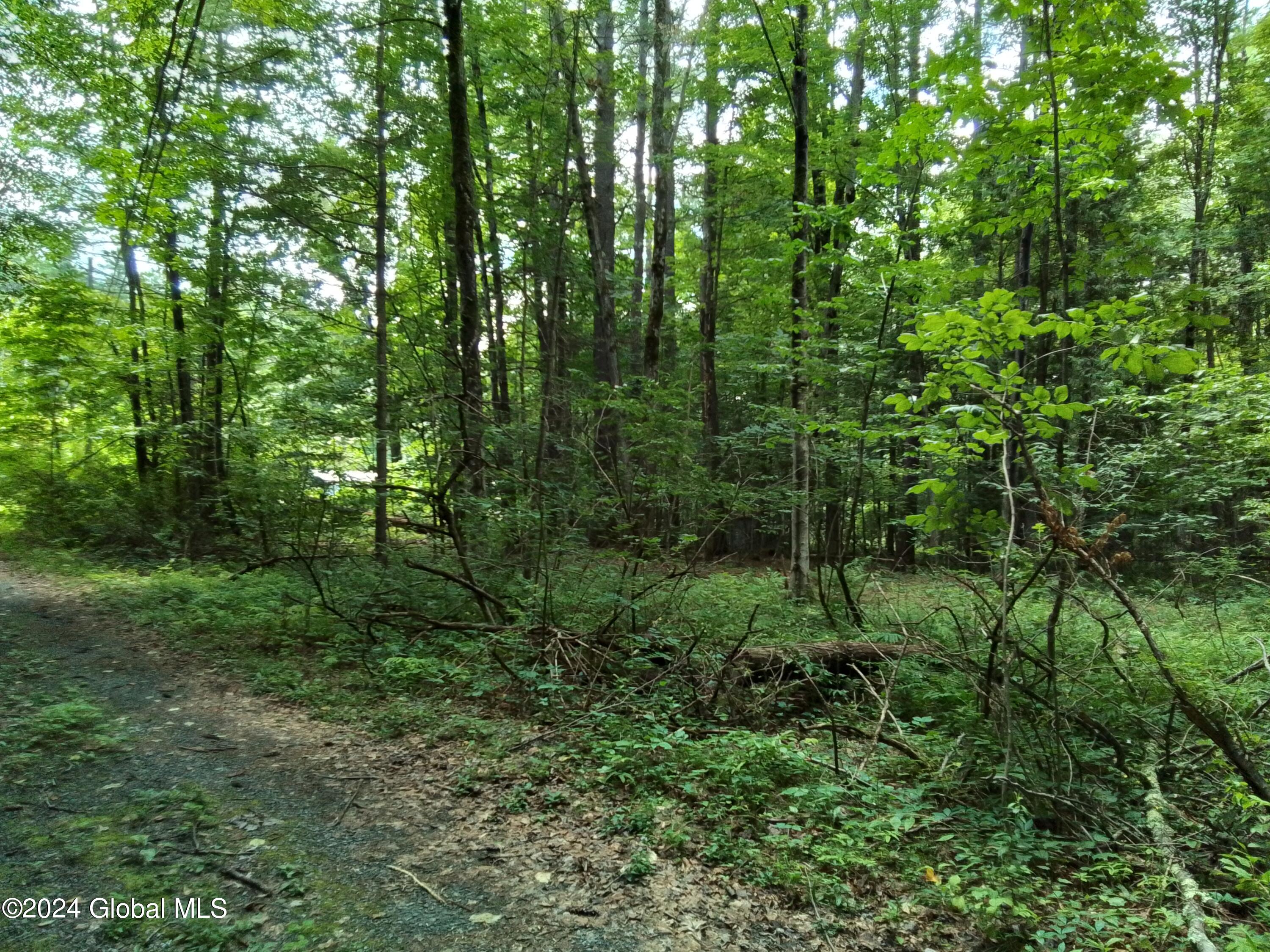 5 Marcelle Lane Lake George, NY 12845 - Photo 14 of 46 20240711_114609