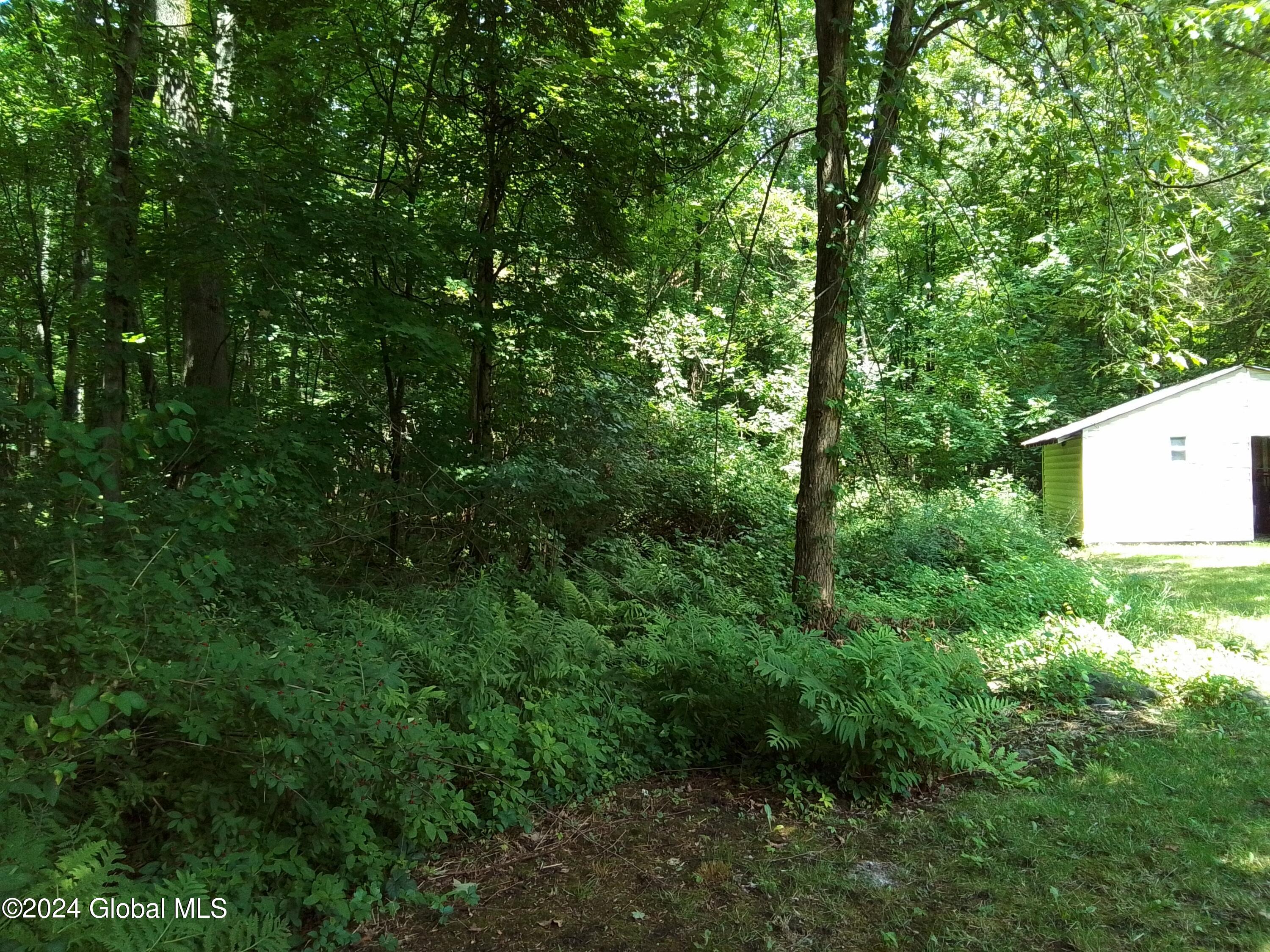5 Marcelle Lane Lake George, NY 12845 - Photo 15 of 46 20240711_113907