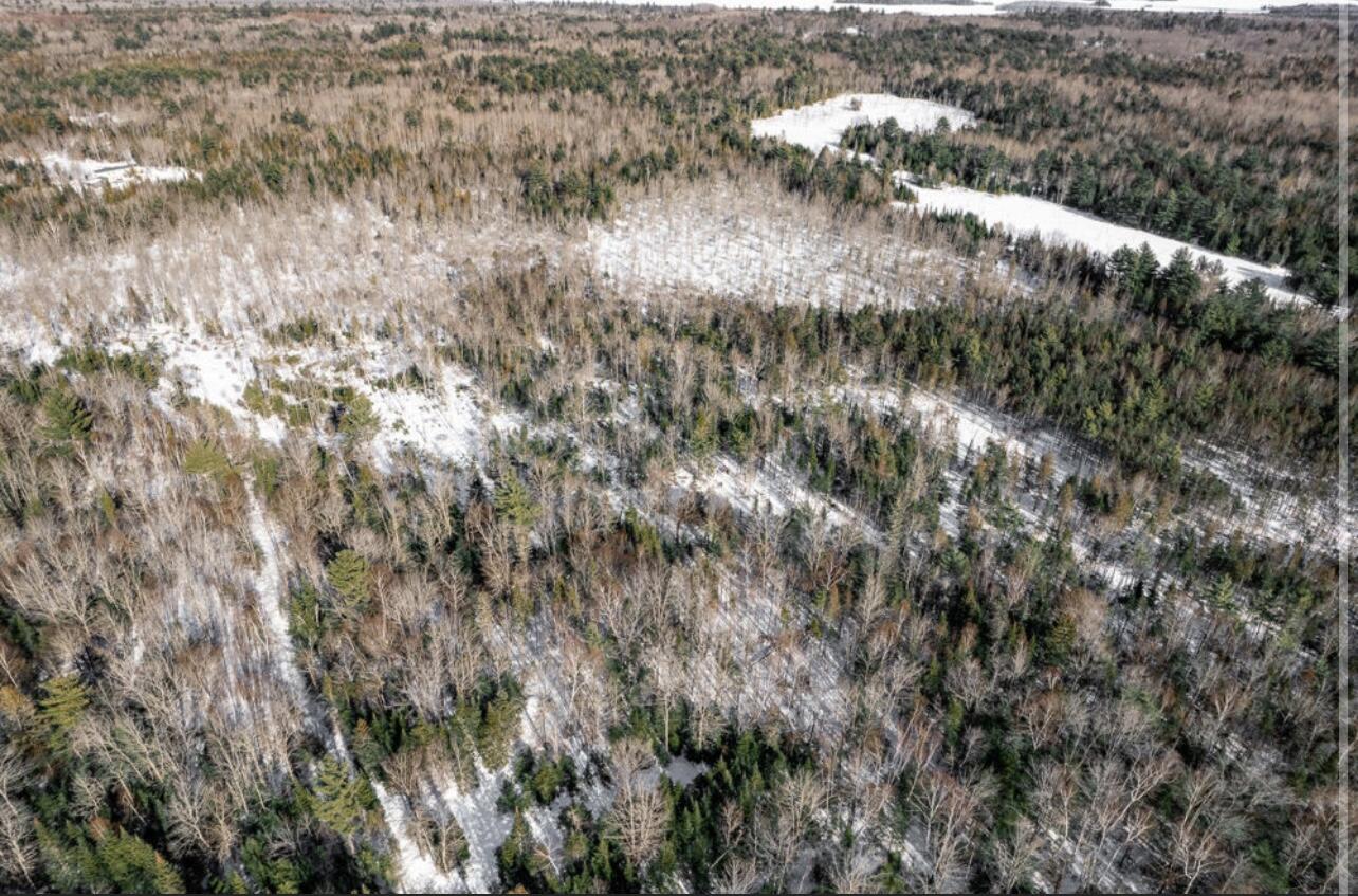 Lot 11 Lower Cross Road Hudson, ME 04449 - Photo 13 of 16 152790CB-E3B1-4BA9-9137-1D3611A16C8E