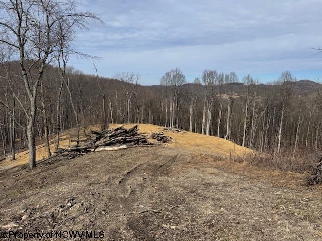 Tbd Green Valley Road Bridgeport, WV 26330 - Photo 5 of 19 Gallery Image 5