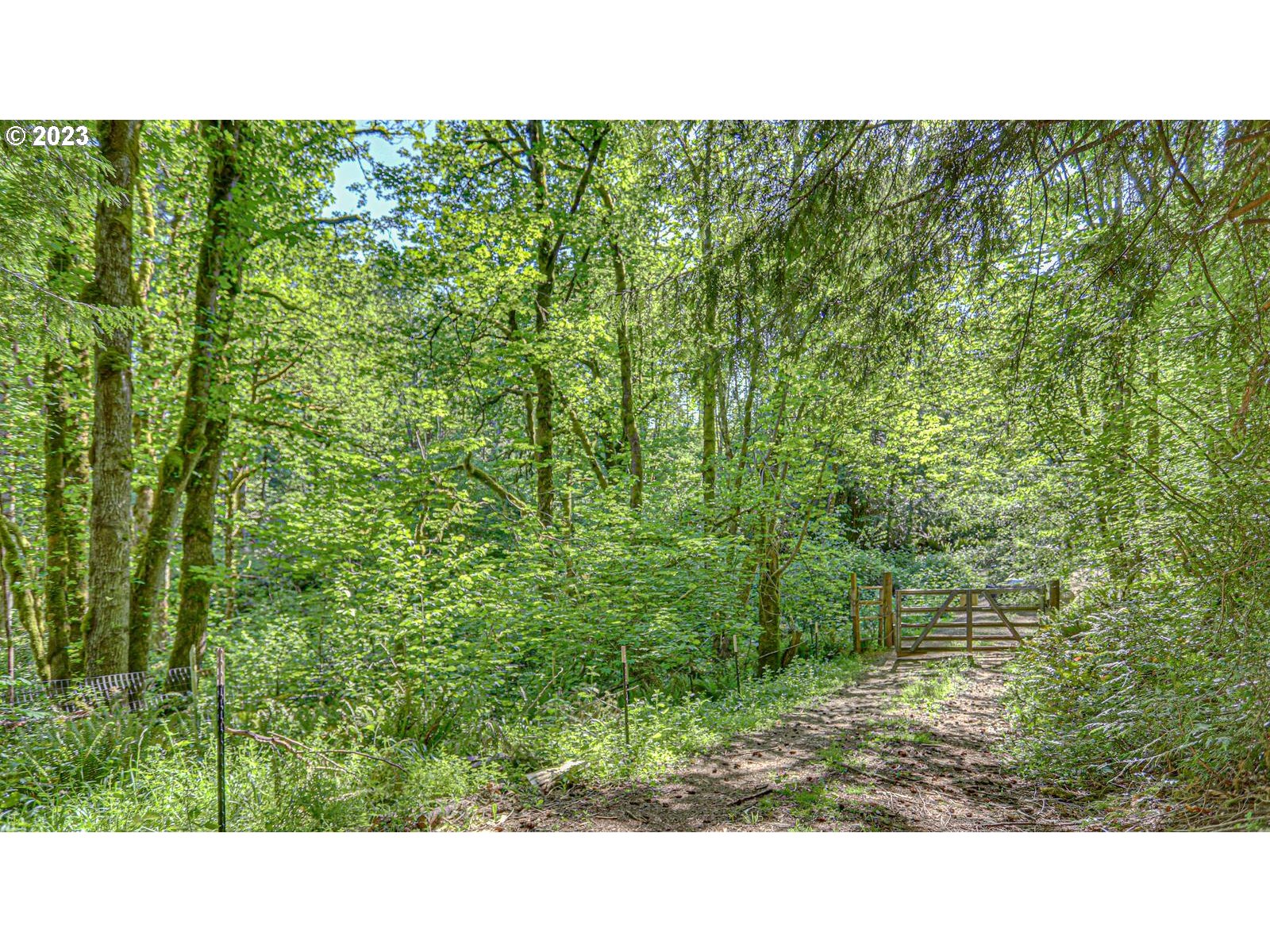 19830 South Hinkle Road Oregon City, OR 97045 - Photo 23 of 47 a open area of a green field with lots of bushes
