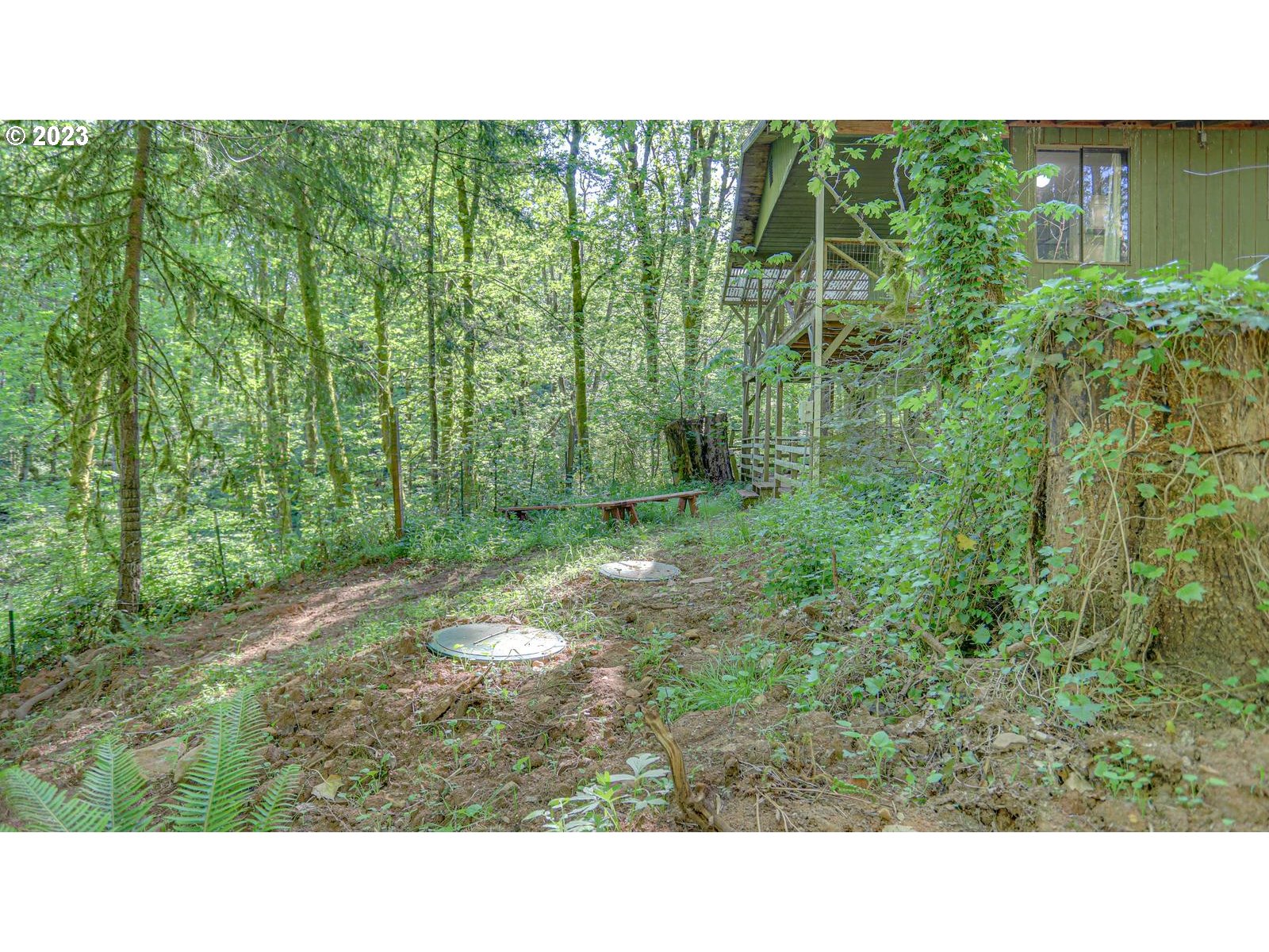 19830 South Hinkle Road Oregon City, OR 97045 - Photo 32 of 47 a open area with trees in front of it