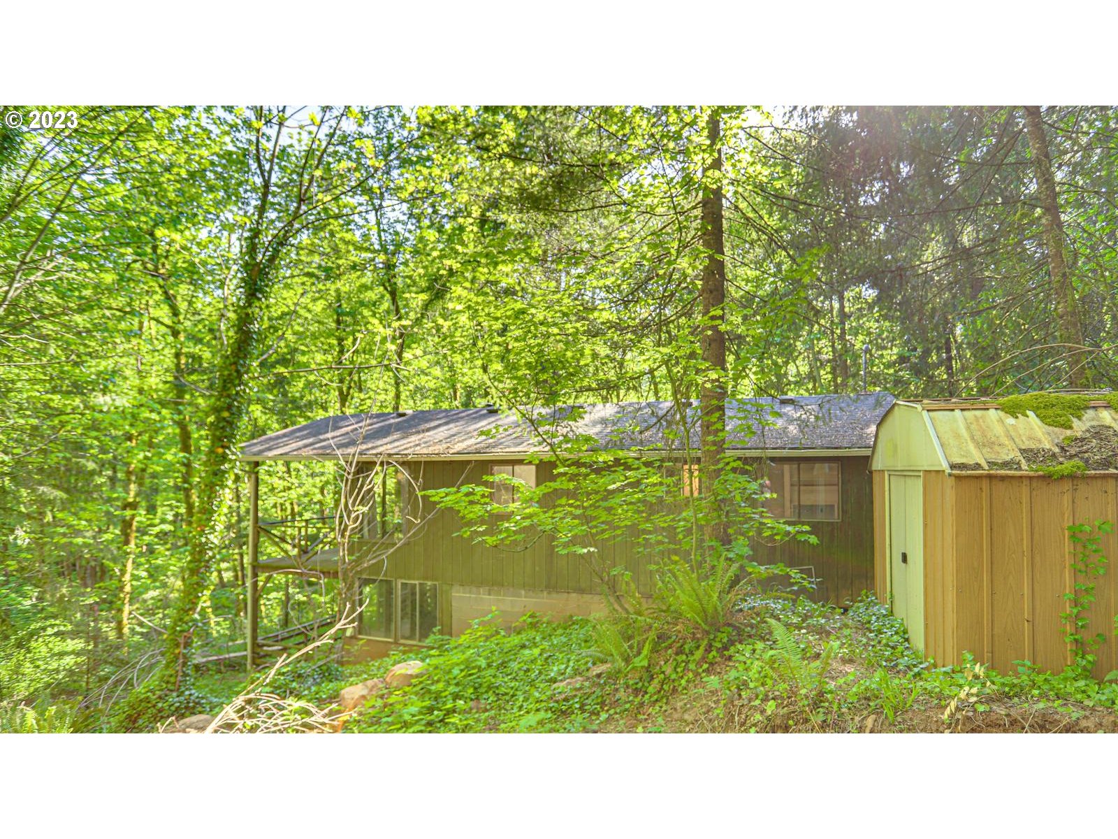 19830 South Hinkle Road Oregon City, OR 97045 - Photo 41 of 47 a picture of a yard