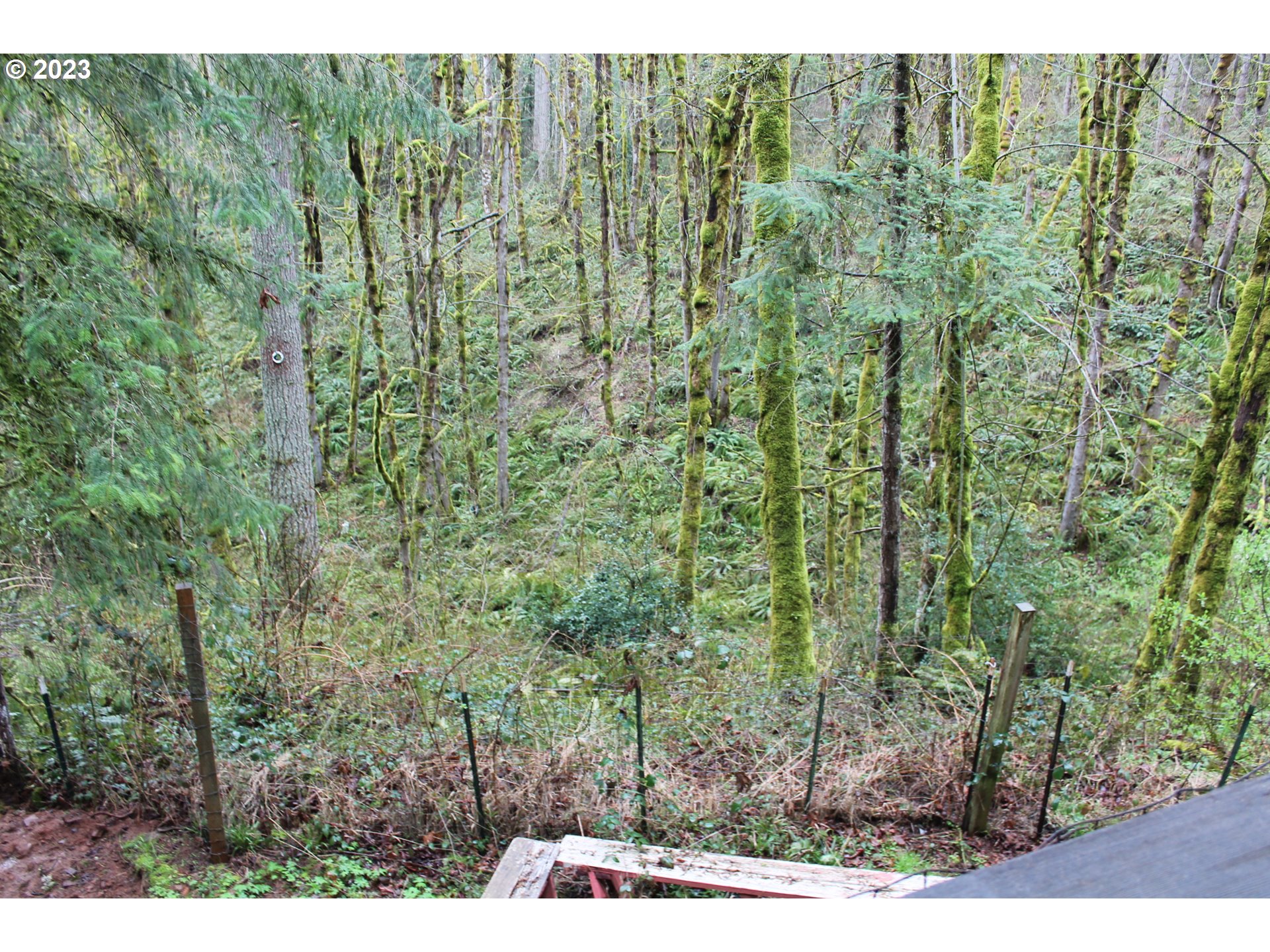 19830 South Hinkle Road Oregon City, OR 97045 - Photo 5 of 47 a view of a forest with a street